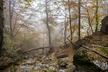Crimea landscape and travel photo