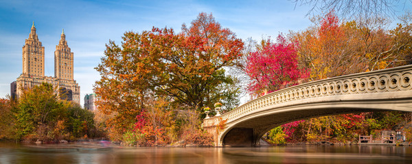 The beautiful Bow Bridge of Central Park New York City
