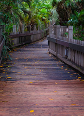 wooden bridge in the park