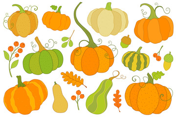 Fall pumpkin colorful clip art set, 9 pumpkins, 2 gourds, 3 berry sprigs, 3 leafs and 2 acorns. Autumn motifs ready for your designs.