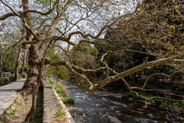 Crimea landscape and travel photo