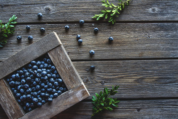 Freshly picked blueberries are in a wooden box. Healthy food, health