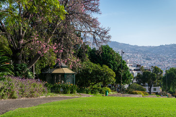 View of Funchal city from the park