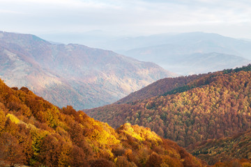Panele Szklane  Malownicze góry jesień z czerwonym lasem bukowym w Karpatach, Ukraina. Fotografia krajobrazowa