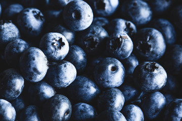 Freshly picked blueberries