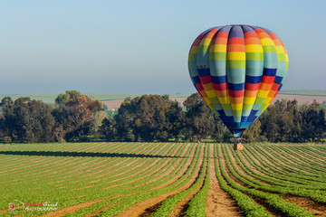 Fototapeta premium hot air balloon over the fields