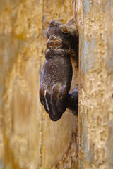 Hand Door Knocker Tunisian Medina