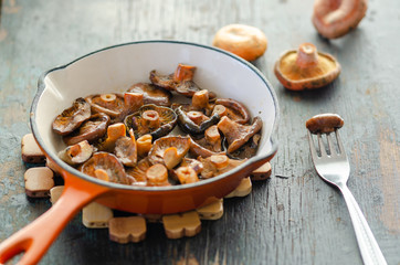 Fried Spruce Milk Cap mushrooms in frying pan
