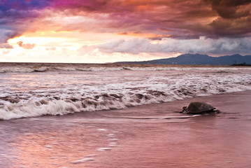 Puerto Vallarta beach