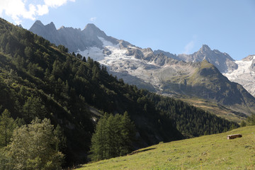 landscape in the alps