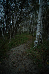 meer und bodden landschaften mit longexposure