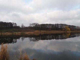 autumn in the park