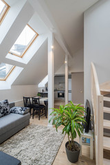 Light interior of room in apartment. Private house. Living room.