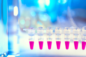 Natural science and modern molecular biology background with text space. DNA analysis by PCR....