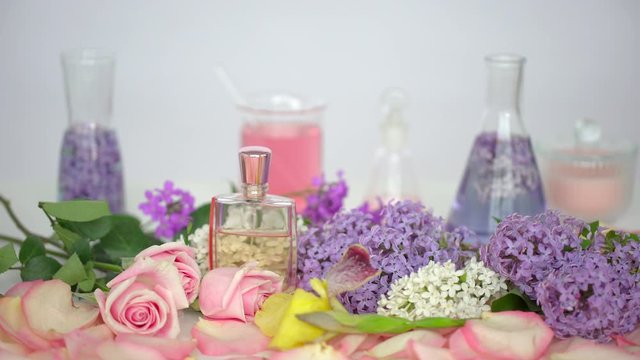 Making body care production beauty aroma perfume lilac roses iris flowers background. Hand of female perfumer lab technician chemist cosmetician pouring cosmetic aroma glass test tube in liquid. 4 K