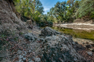 Alapaha River, Hamilton Co, Florida