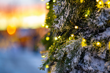 Close up of fairy lights chain on snowy christmas tree with colorful sunset and snow on background, bokeh lights