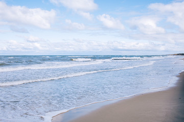 Baltic sea beach landscape with blue sea white sand and seagull. Sunny autumn day.