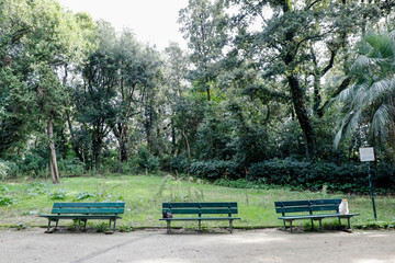 Obraz premium Il Parco