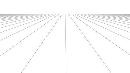 Vector perspective grid. Grid of longitudinal lines. Detailed lines on white background.