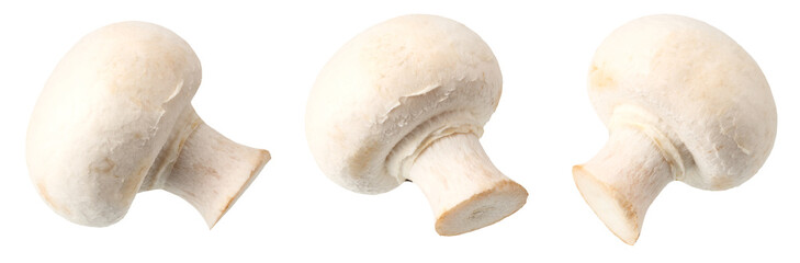 mushrooms isolated on a white background. Food