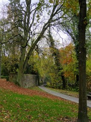 Obraz premium autumn in a little park