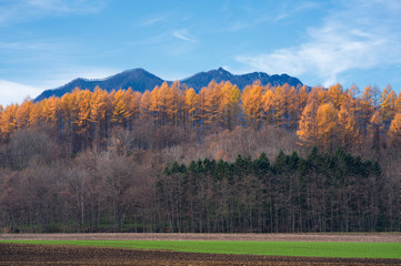 秋の十勝
