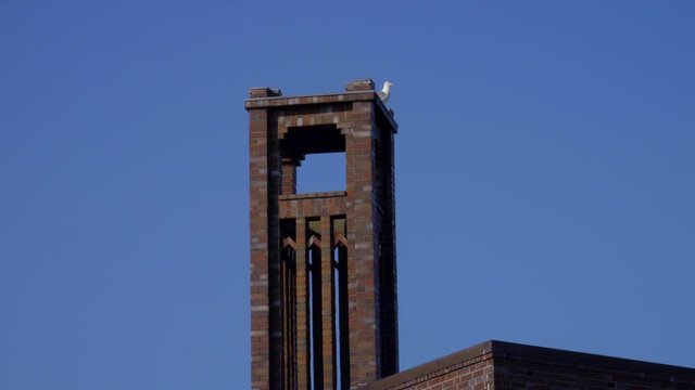 Seagull on a clinker tower