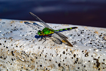 Simacota, Santander, Colombia
