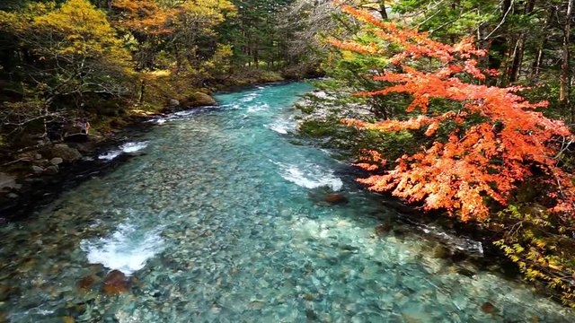 【長野県】上高地の秋　紅葉と梓川の清流