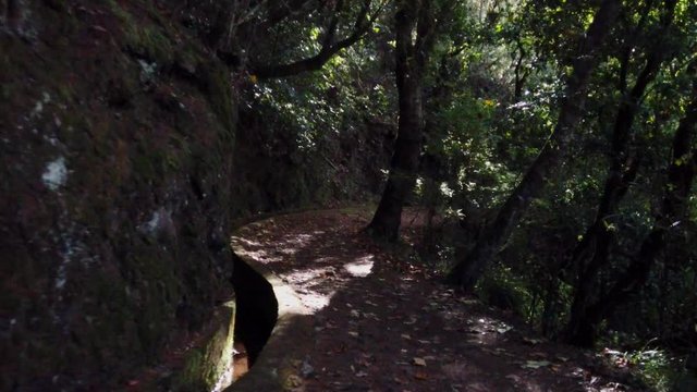 Balcoes levada in Madeira Island, Portugal.