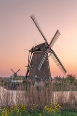 Golden red sunset cast on Windmills in Kinderdijk near Rotterdam, Netherlands