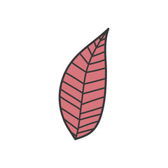 leaf folaige nature botanical icon