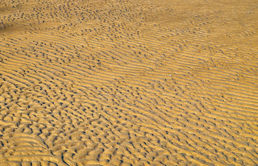 Sand ripples close up detail. Sand shapes seamless textured pattern.