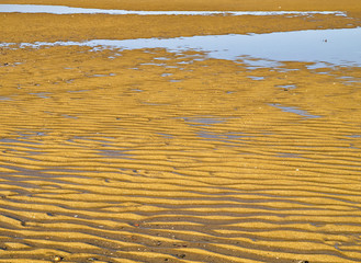Sand ripples and water at a beach, during low tide.