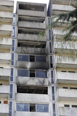 Fototapeta premium scampia