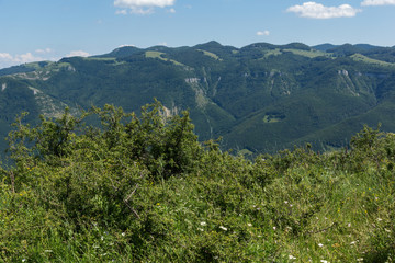 Obraz premium Landscape near Vratsata pass at Balkan Mountains, Bulgaria