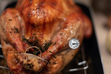 Checking with a meat thermometer to make sure the turkey is cooked to the proper temp