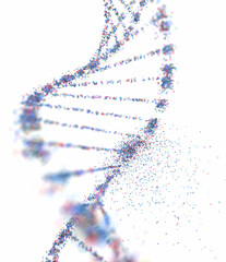 Oxidative DNA Damage Genetic Disorder Molecular Structure