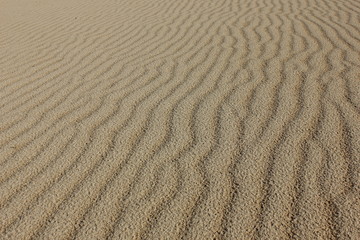 Fototapeta na wymiar Playas en Costa Calma (Fuerteventura - Islas Canarias)