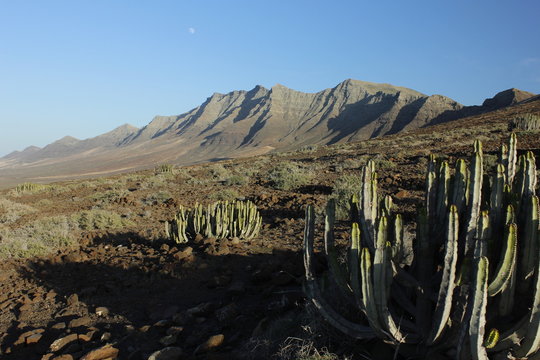Panor&aacute;mica del Parque Natural  de Jand&iacute;a, en Fuerteventura