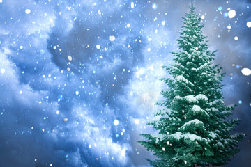Christmas tree  over colors background