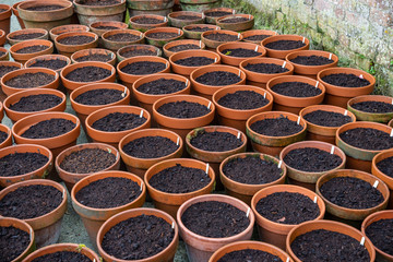 Pots ready and planted seedlings for new season stock