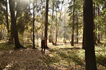 Obraz premium hike in the forest