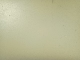 Frosted glass in the bathroom