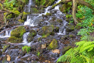 Stream and Running Water through forest with long exposure to create blurred water effects for textured background  with contrasting sharp rock and fern foreground images