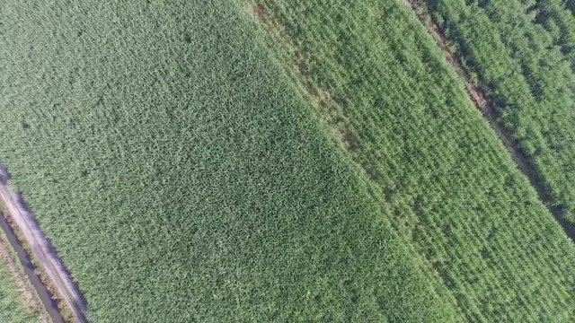 cenital aerial shot farm, country, camp