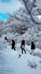 Gente caminando entre la nieve y arboles nevados