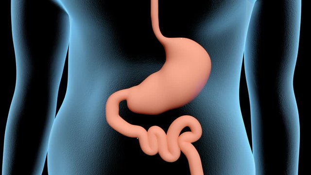Gastric Bypass Surgery