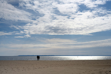 Naklejka premium Couple Looking at the Water from the Beach